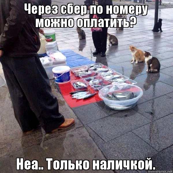 оплата только наличкой мем